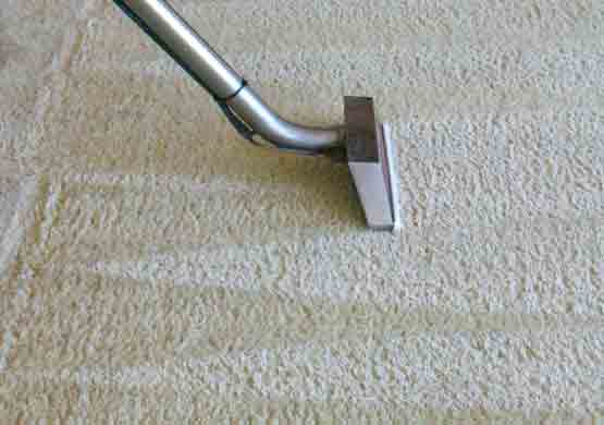 Professional Carpet Cleaning Teneriffe