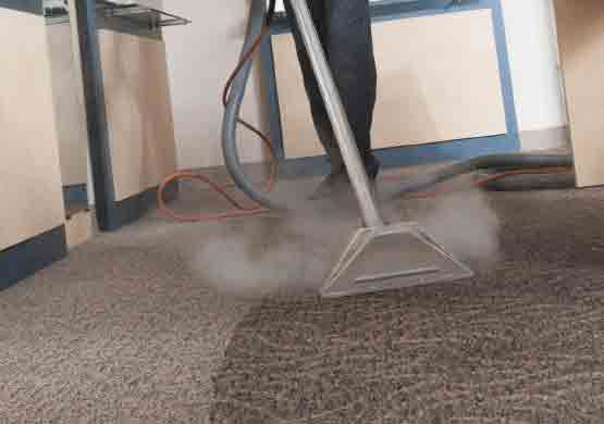 Best Carpet Cleaning Teneriffe